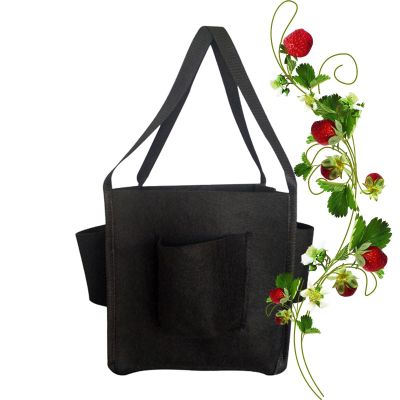 Huvqianu Vertical Strawberry Grow Bag, 31 x 25 cm, 4 Pockets