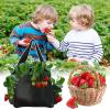 Huvqianu Vertical Strawberry Grow Bag, 31 x 25 cm, 4 Pockets view 4