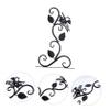 KITANDOVE Wall-Mounted Iron Plant Hanger Hook view 4