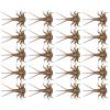 Fly Fishing for Trout Hand-Tied Fly Fishing Lure Assortment Set view 1