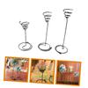 VINTORKY Spiral-Shaped Iron Air Plant Holder, 3-Piece Set, Black view 4