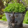 Gecko Cachepot for Flower Pots view 2
