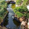 HDPE 0.12 mm Pond Liner, Flexible Garden Pond Membrane, Black (Size: 7 x view 2