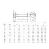 HEXHUASR 350-Piece M2–M10 304 A2-70 Stainless Steel DIN 7984 Low-Profile Socket Head Screws view 3