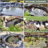 Heavy-Duty Black Pond Liner, 5 x 8.5 m, Flexible Waterproof Liner for Small Ponds, Streams, Fountains, and Fish Ponds view 3