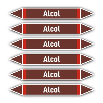 Stickers: 200 x 30 mm, 6 pcs. - Gruppo 8 - Liquidi Infiammabili - Pipe Marking - DIN 2403 - Italian - Alcol