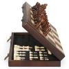 Magnetic Wooden Chess Set for Adults and Children, 43.2 cm, Folding Travel Set view 1