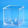 Baseball Display Case, UV Protection, Acrylic, Square, Transparent, for 22.9 cm Balls, 3-Pack view 2