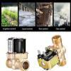 TBZOQAID G1/2-Inch Brass Electric Solenoid Valve, Normally Closed, 12V/24V/220V, G3/4-Inch Inlet view 4