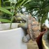 Kaezuy Turtle Flower Pot Hanger Garden Decor view 1