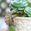 Kaezuy Turtle Flower Pot Hanger Garden Decor view 4