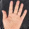 White Nylon Bird Protection Net for Gardens, 2 cm Square Mesh, 3 x 2 m view 1