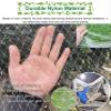 White Nylon Bird Protection Net for Gardens, 2 cm Square Mesh, 3 x 2 m view 3