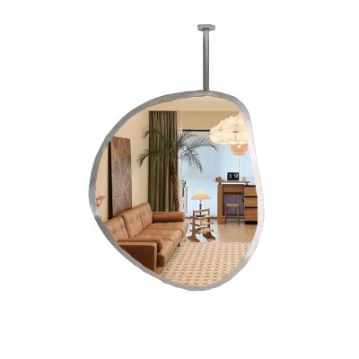 Shaped Ceiling-Hung Wall Mirror, Single-Sided Makeup Mirror with Metal Frame, 60 x 90 cm