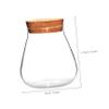 HANABASS Decorative Brown Glass Bottle with Cork Stopper for Storing Small Items and Flowers in a Terrarium view 2
