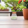 HANABASS Decorative Brown Glass Bottle with Cork Stopper for Storing Small Items and Flowers in a Terrarium view 4