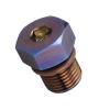 Naojino Compatible with Fat Bob FXDF FXFB FXFBS Cruiser Models 1999–2021, Purple Titanium Alloy Magnetic Drain Plug view 2