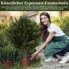 45 cm Artificial Cypress Topiary Ball Tree with Ground Stake, Faux Boxwood Ball for Outdoor Front Porch and Garden view 3