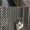 White Plastic Chicken Wire, Poultry Fence, Hexagonal Garden Netting view 1
