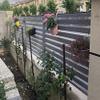 White Plastic Chicken Wire, Poultry Fence, Hexagonal Garden Netting view 4