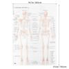 SOIMISS Skeleton System Poster, Detailed Human Muscle Anatomy, Educational and Office Decoration, Durable Material view 2