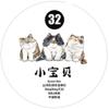 DingDing Vol. 9-32 My Pet Baby Pre-Cut Washi Paper PET Tape Stickers view 4
