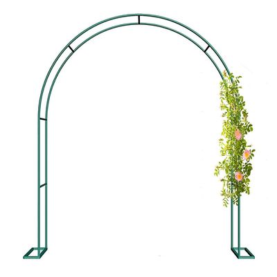 Stainless Steel Rose Arch for Climbing Plants, Freestanding Metal Garden Arch, Black (Green, H2.30m x W2m)