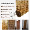 Bamboo Reed Roller Blind, 50/65/80/100/120/140/160 cm, Privacy & Sun Protection for Patio, Garden, Kitchen, Veranda or Pool (120 x 220 cm) view 4