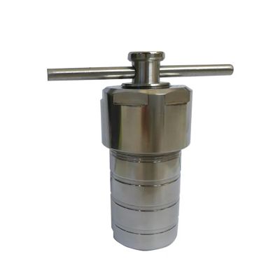LWDXMYKW High-Precision PTFE-Lined Autoclave Reactor for Hydrothermal Synthesis, 25 mL, 3 MPa