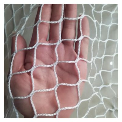 DTVEW Knotless Polyester Rope Net, 2.5 cm/2 mm, Sports Outdoor Balcony Safety Net, Garden Farm Protective Net (2 x 4 m)