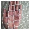 DTVEW Knotless Polyester Rope Net, 2.5 cm/2 mm, Sports Outdoor Balcony Safety Net, Garden Farm Protective Net (2 x 4 m) view 1
