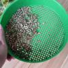 Plastic Garden Soil Sieve, Lightweight, 21 x 5 cm view 3