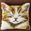 XDEGHUANGSS DIY Latch Hook Pillow Kit, 43 x 43 cm, Cat view 1