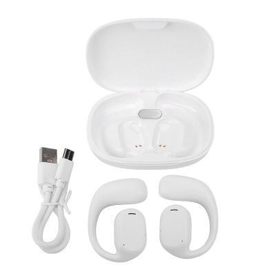 Translation Earbuds, 74 Languages and 70 Accents, AI Translator with Bluetooth App for Music and Calls, White