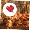 10-Piece Plastic and Metal Chicken Nipple Drinkers for Chicks view 4