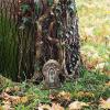 Wall-Mounted Fairy Door for Garden Fairy Houses view 3