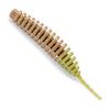 Fishup Tanta 1.5" 4.2 cm - 10 Soft Plastic Worms, Fishup Colors: Coffee Milk/Light Olive view 1