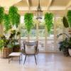 Huryfox Artificial Hanging Fern Vines, 8-Pack Plastic Ivy Leaf Décor for Indoor and Outdoor Use view 4