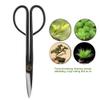 Bonsai Scissors, 205 mm, Long-Handle Bud Trimming Shears view 3