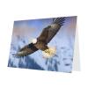 FHEBNDS Bald Eagle Flying Greeting Card with Envelopes, 4 x 6 in, Blank, Pop-Up Card for All Occasions view 2