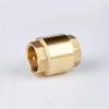 RFXOGTYFZ 1/2 in DN15 DN20 DN25 DN32 1 in Female Brass In-Line Spring Check Valve for Water, Oil, and Air (DN15) view 2