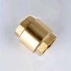 RFXOGTYFZ 1/2 in DN15 DN20 DN25 DN32 1 in Female Brass In-Line Spring Check Valve for Water, Oil, and Air (DN15) view 3