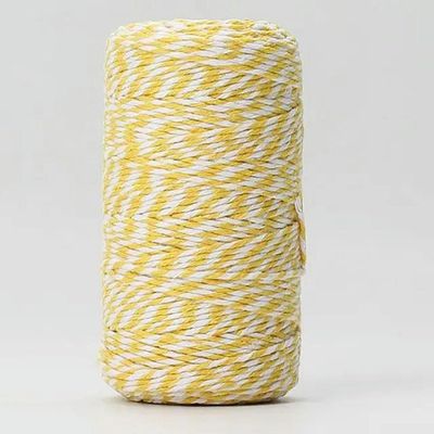 AUNANGLJSCS Cotton Cord, 2 mm x 100 m, Twisted Craft String, Color 06(13)