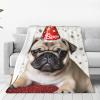 QGGHNISD Cute Happy Birthday Pug Puppy Flannel Blanket, 40 x 30 in view 1