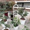 Generic Metal and Plastic Garden Obelisk Trellis, White, 25 x 145 cm, Birdcage Shape view 3