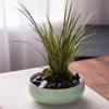 Lotus Planter Bowl, Large Ceramic Bonsai Bowl for Hydroculture, Retro Drip-Glaze Design, Green view 4