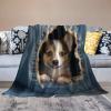 ECWECC Corgi Dog Flannel Fleece Blanket, Extra-Soft Throw, 100 x 150 cm view 3