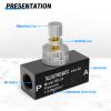 TAILONZ PNEUMATIC 5-Pack Airflow Control Valve with Push-to-Connect Fitting, 3/8-Inch BSP Inline Speed Controller, Straight RE-03 view 3