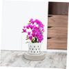 HANABASS Round Plant Pot Saucer with Casters, PP, 1 pc. view 4