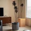 Black-and-White Striped Magnesium Clay Planter for Indoor Use view 4